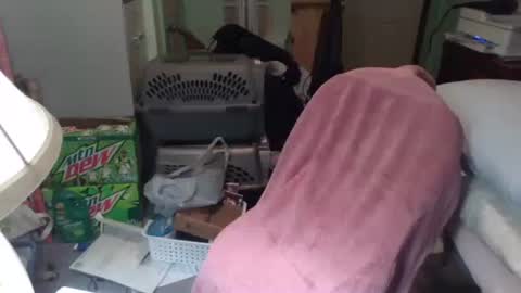 rocky082288 online show from 11/25/25, 10:26