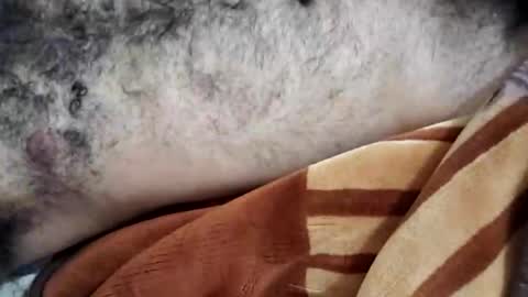 rockyp2025 online show from 03/03/25, 12:05