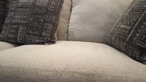 Snapshot of roger59267 chatting on 10/31/25, 07:59 roger59267 online show from 10/31/25, 07:59