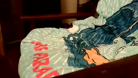 Snapshot of rogerrush chatting on 11/15/25, 10:56 rogerrush online show from 11/15/25, 10:56