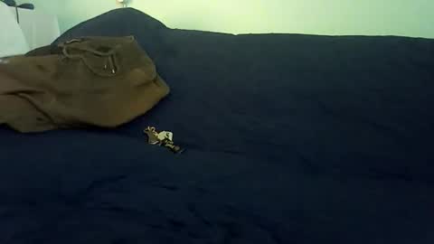 Mr. Red online show from 02/25/26, 10:19