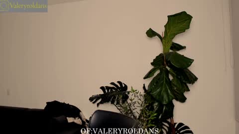 Valery Roldans online show from 02/04/25, 03:44