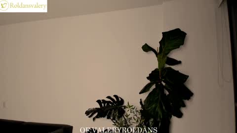 Valery Roldans online show from 02/05/25, 02:51