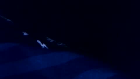 Snapshot of romain954 chatting on 03/03/26, 08:48 romain online show from 03/03/26, 08:48