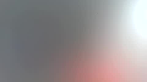 Trinked online show from 11/15/25, 01:36