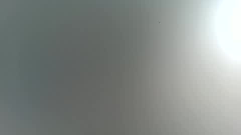 Trinked online show from 11/22/25, 04:22