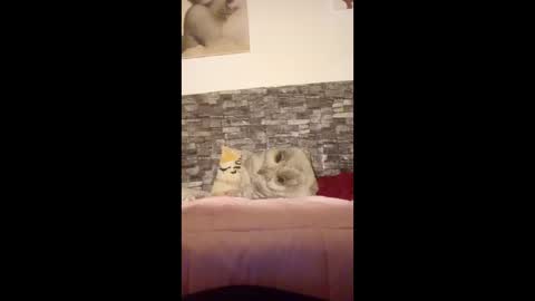 romylachienne online show from 01/18/26, 02:59