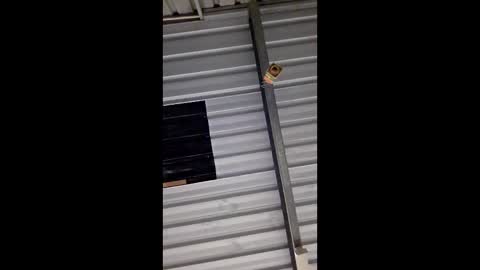 ronabater online show from 01/11/26, 08:36