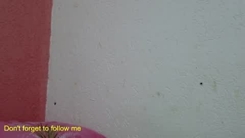 Snapshot of ronnispoto chatting on 01/31/25, 10:10 ronny online show from 01/31/25, 10:10