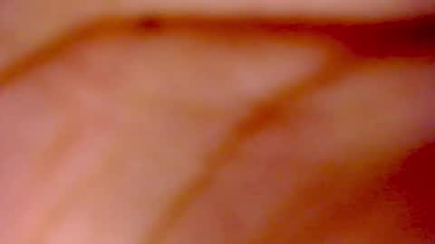 Snapshot of room_kitty chatting on 11/02/25, 04:42 MIA AND PAUL online show from 11/02/25, 04:42