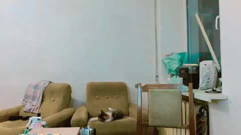 Snapshot of rosa843850 chatting on 02/28/25, 01:47 rosa843850 online show from 02/28/25, 01:47