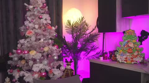 Snapshot of roshen_amira chatting on 12/25/24, 11:10 Amii online show from 12/25/24, 11:10