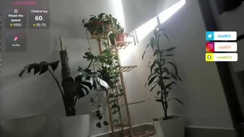 Snapshot of rossth11 chatting on 04/05/26, 05:32 Im Ross online show from 04/05/26, 05:32