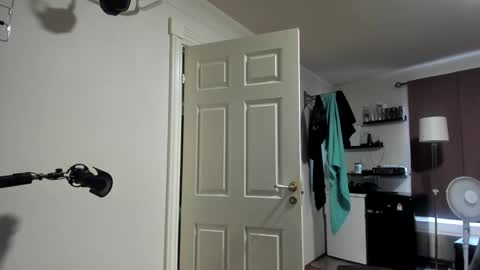 Snapshot of rostungurinn chatting on 02/27/25, 04:43 Rostungur online show from 02/27/25, 04:43