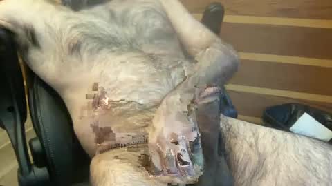 Snapshot of rotoball007 chatting on 01/30/25, 08:31 rotoball007 online show from 01/30/25, 08:31