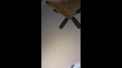 Snapshot of roughandwet28 chatting on 04/02/26, 04:37 No More Vanilla online show from 04/02/26, 04:37