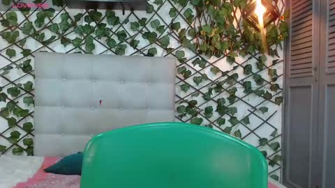 Snapshot of rous_55 chatting on 12/27/24, 02:58 Rous online show from 12/27/24, 02:58