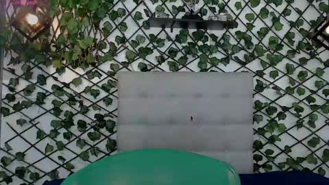 Snapshot of rous_55 chatting on 02/08/25, 09:35 Rous online show from 02/08/25, 09:35