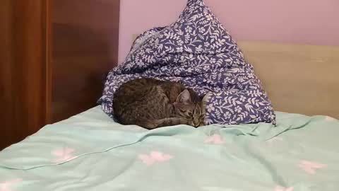 roxy secrets online show from 01/16/25, 06:48