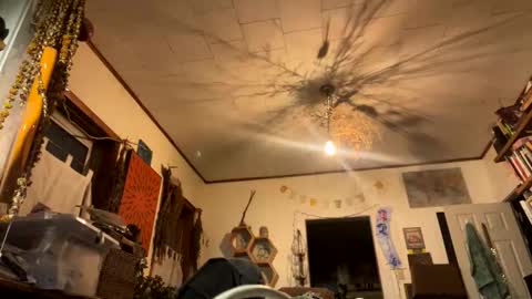 rp131313 online show from 11/09/25, 01:59