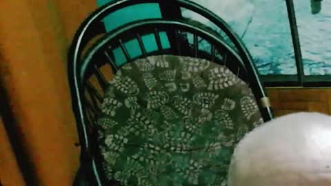 runnnaz online show from 10/14/25, 01:28