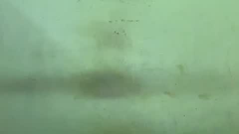 Rupali online show from 12/21/25, 04:47