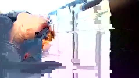 rushover63 online show from 03/03/25, 10:49