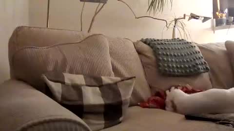 Snapshot of rustyx22 chatting on 01/31/25, 03:52 Rusty online show from 01/31/25, 03:52