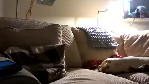 Snapshot of rustyx22 chatting on 10/02/25, 01:34 Rusty online show from 10/02/25, 01:34