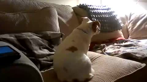 Snapshot of rustyx22 chatting on 10/18/25, 02:25 Rusty online show from 10/18/25, 02:25