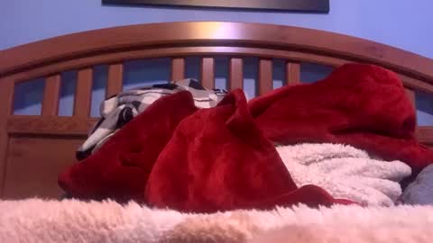 Snapshot of ryan_697 chatting on 02/01/25, 11:32 ryan_697 online show from 02/01/25, 11:32