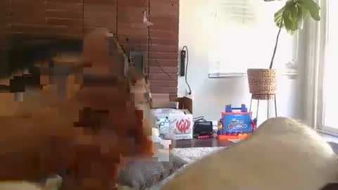 ryanbobby88 online show from 09/13/25, 08:08