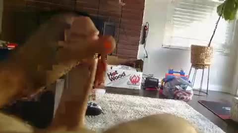 ryanbobby88 online show from 09/25/25, 12:25