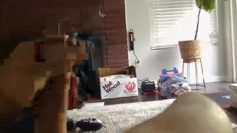 ryanbobby88 online show from 09/27/25, 12:48