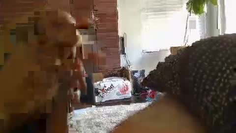 ryanbobby88 online show from 09/28/25, 11:21