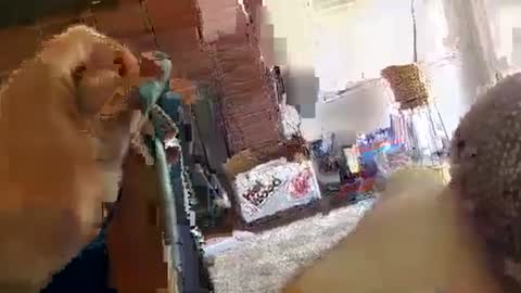 ryanbobby88 online show from 09/29/25, 09:08