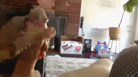 ryanbobby88 online show from 10/01/25, 09:43