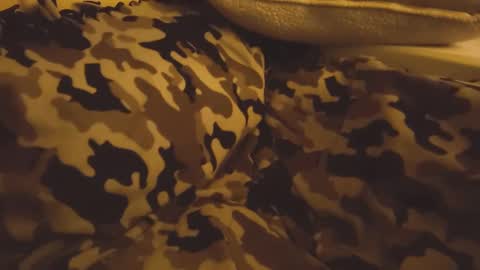 Snapshot of ryanfc85 chatting on 12/11/24, 07:03 RFC666 online show from 12/11/24, 07:03