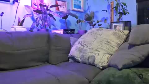 ryantate_88 online show from 12/23/25, 03:37