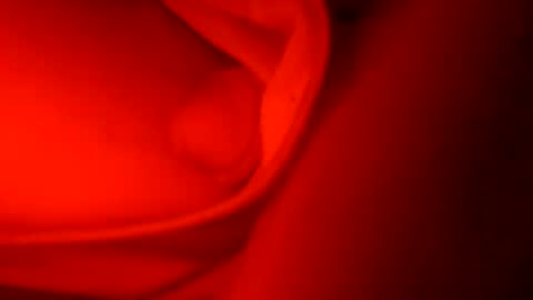 ryucravenmore online show from 10/05/25, 01:09