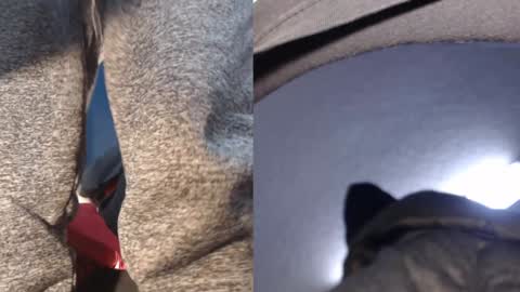 Snapshot of ryushi009 chatting on 01/21/25, 05:38 Ryushi009 online show from 01/21/25, 05:38