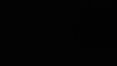 Snapshot of ryushi009 chatting on 01/24/25, 03:32 Ryushi009 online show from 01/24/25, 03:32