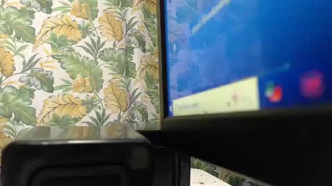 s_o_f_e_a online show from 01/12/26, 01:38