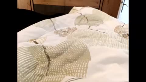 s_xp__ online show from 12/19/25, 11:28