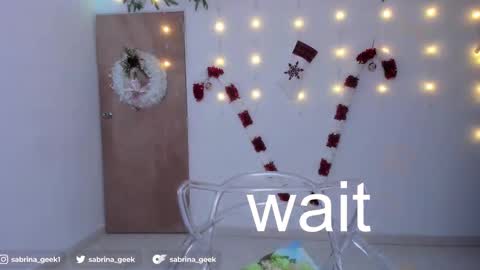 Snapshot of sabrina_geek chatting on 12/15/24, 04:07 sabrina_geek online show from 12/15/24, 04:07