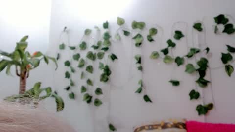 SABRI online show from 09/25/25, 05:11