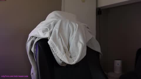 Snapshot of sabrinasarcade chatting on 01/22/25, 04:02 Sabrina online show from 01/22/25, 04:02