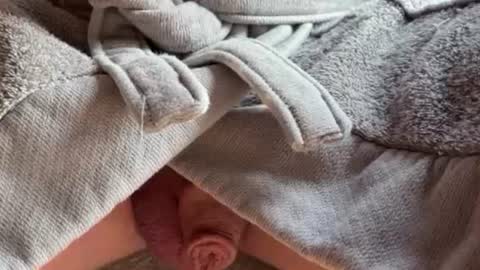 saconuts online show from 02/13/26, 08:54