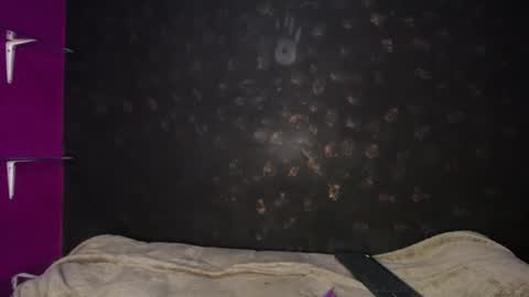 Snapshot of sadiie_queen chatting on 12/19/24, 11:39 Sadie Queen online show from 12/19/24, 11:39