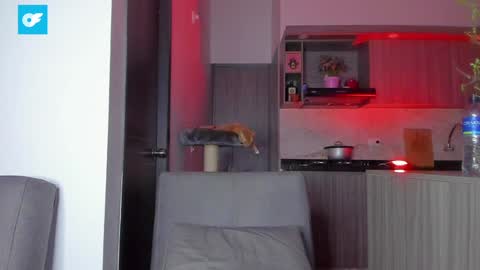 Snapshot of sag_1998 chatting on 01/03/25, 12:54 Sag online show from 01/03/25, 12:54